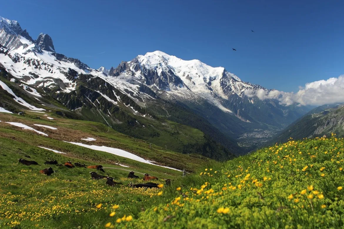 Wyprawa na Mont Blanc: Jak to zorganizować?